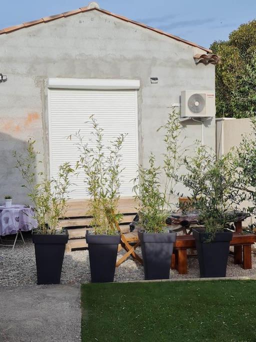 Appartement 53 M² - Pignans Au Coeur Du Var Экстерьер фото